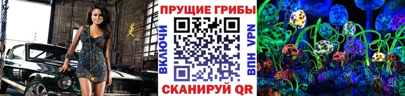 Купить закладки  Моршанск  Галлюциногенные грибы ЛСД 