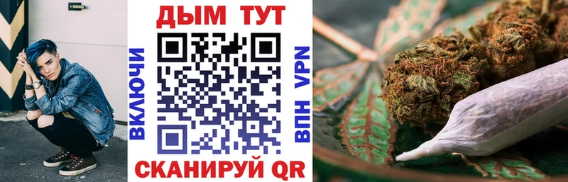 Купить где  Моршанск  Бошки Шишки гибрид 